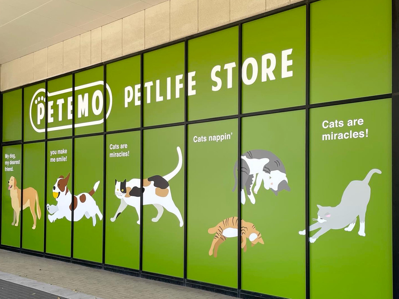 petemo_03